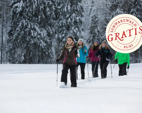 Schneeschuhwanderung