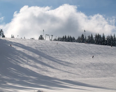 Gernsbach Kaltenbronn Skilift Alpin Skifahrer