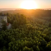 Die Diedrichsburg im Osnabrücker Land Ein steinerner Turm erhebt sich aus einem dichten Wald im Sonnenuntergang und bietet eine weite Aussicht.