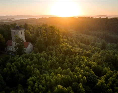 Die Diedrichsburg im Osnabrücker Land Ein steinerner Turm erhebt sich aus einem dichten Wald im Sonnenuntergang und bietet eine weite Aussicht.