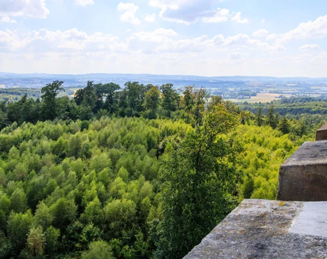 Aussicht von der Diedrichsburg Weitläufige Wälder und Hügel unter einem blauen, leicht bewölkten Himmel.