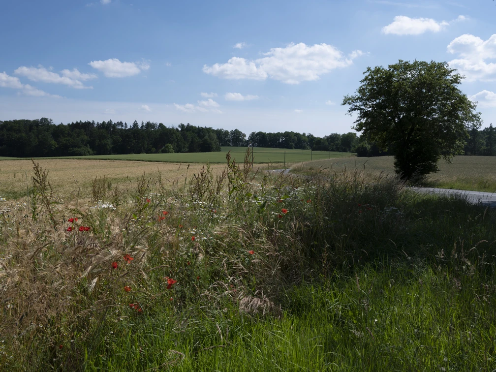 Erholung pur im Nettetal Osnabrücker Land