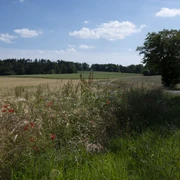 Erholung pur im Nettetal Osnabrücker Land