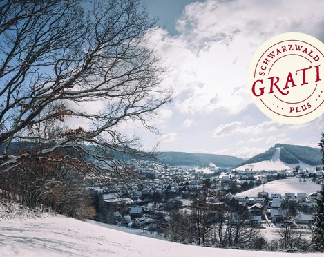 Wanderung im Winterwald Mitteltal