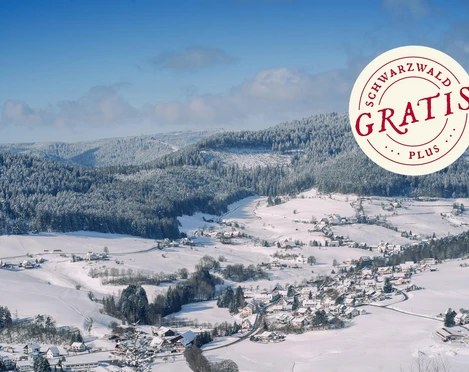 Wanderung im Winterwald Reichenbachtal
