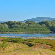 1Leinepolder, ©Thomas Spieker.jpg Ausblick am Leinepolder