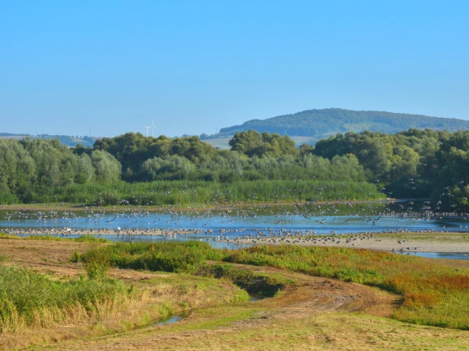 1Leinepolder, ©Thomas Spieker.jpg Ausblick am Leinepolder