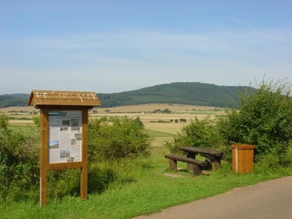 Marbeckhänge Sommer