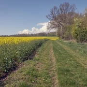 KuKukswege an den Ortsrand von Willingshausen