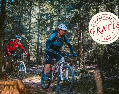 Über Strock und über Stein