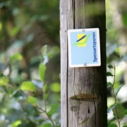 Bad Soden-Salmünster - Wegebeschilderung Spessartspuren Bad Soden-Salmünster - Wegebeschilderung Spessartspuren