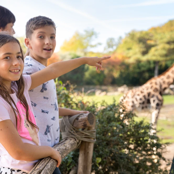 Kinder bei der Kiwara-Savanne im Zoo Leipzig - Familienurlaub in Leipzig