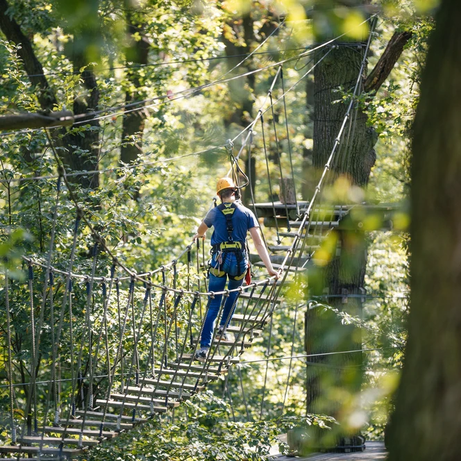 Kletterwald Leipzig - Freizeitaktivitäten in der Leipzig Region