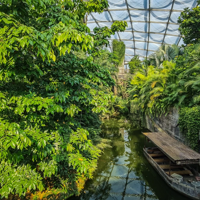 Tropenhalle Gondwanaland im Zoo Leipzig - Freizeitaktivitäten in Leipzig