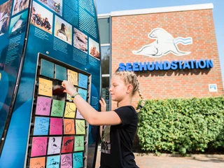 Norddeich_2019_Final (7 von 29)_bearb_VDS.jpg