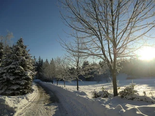 Winter