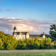 Schloss Rochsburg - Schlösser der Leipzig Region Das Schloss Rochsburg ragt über den Laubbäumen hervor und wird von der untergehenden Sonne in gold-gelbe Farben getaucht, leipzig Region, Ausflugsziel