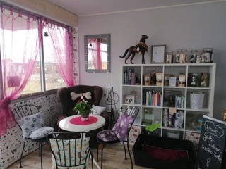 Hundecafé Busenwurth