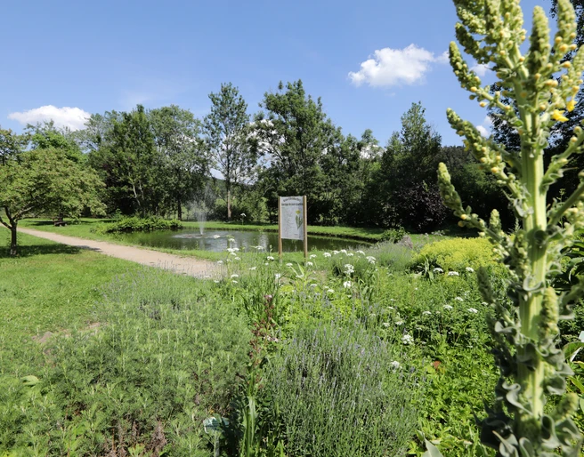 Grasellenbach - Kurpark Grasellenbach - Kurpark