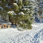 Im Zinsbachtal an der Ameisenstraße