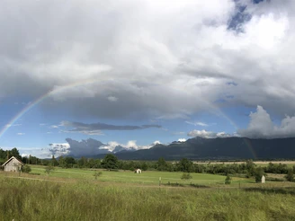 7367228A-E8D8-4B6D-9ED7-6003FAFE2066