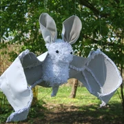 Fledermaus