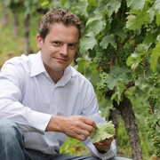 neues Bild Weingut Alexander Laible