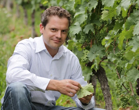 neues Bild Weingut Alexander Laible