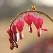 Trauer Hospizgruppe.jpg