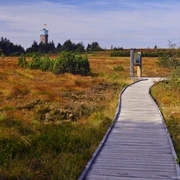 Herbstliche Hornisgrinde copyright Peter Jülg