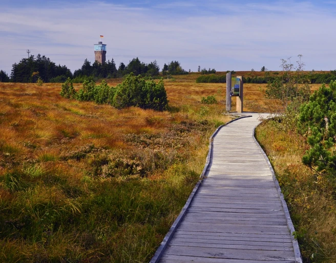 Herbstliche Hornisgrinde copyright Peter Jülg