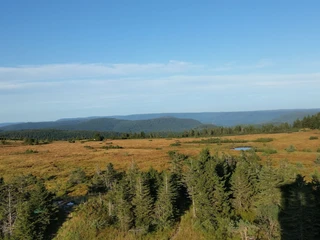 Ausblick vom Hornisgrindeturm