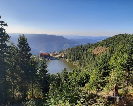 Mummelsee Blick copyright Tourist Info Seebach