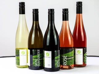 SilkeLamm_wein_weiß-011