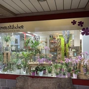 Blumenstübchen Stolzenberg Wühle