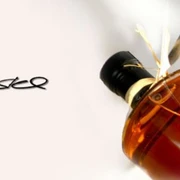 Theo Künstel Waldulm