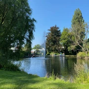 Schwanenteich im Bad Wildunger Kurpark in Reinhardhausen.