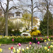 BW_©Staatsbad2016_Brunnenallee_02.jpg