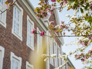 Kreismuseum Nicole Franke.jpg