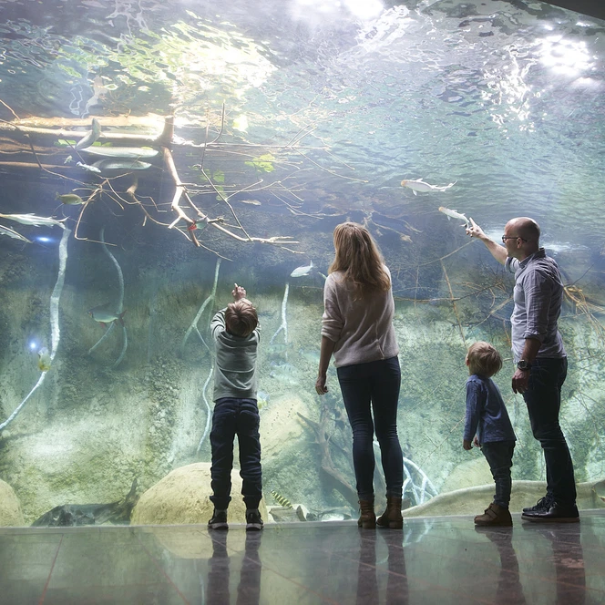 Panoramabecken im Aquarium des Zoo Leipzig - Leipzig mit Kindern