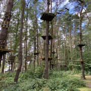 Hochseilgarten im Sommer