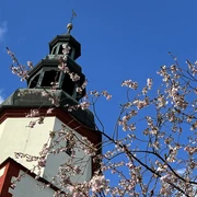 IMG_2367.jpeg