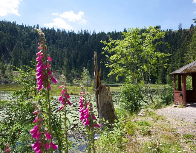 BAIE_HuzenbacherSee_Sommer2014 (22)