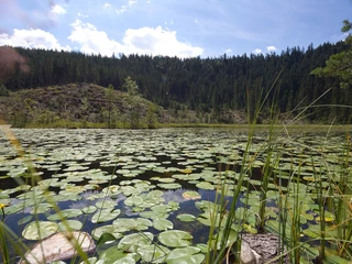BAIE_HuzenbacherSee_Sommer2014 (2)