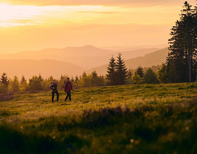 Zwei Wandernde in der Abendsonne in der Niedersfelder Hochheide auf dem Rothaarsteig