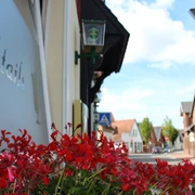 Rote Blumen im Vordergrund, eine Straße und Gebäude im Hintergrund unter einem klaren Himmel.