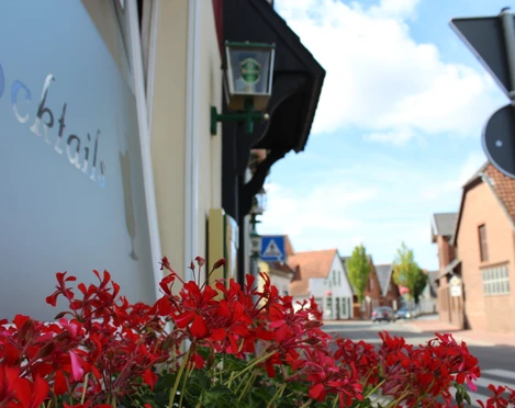 Rote Blumen im Vordergrund, eine Straße und Gebäude im Hintergrund unter einem klaren Himmel.