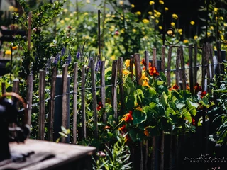 Social Media Dörte_Juli 2022 (215).jpeg