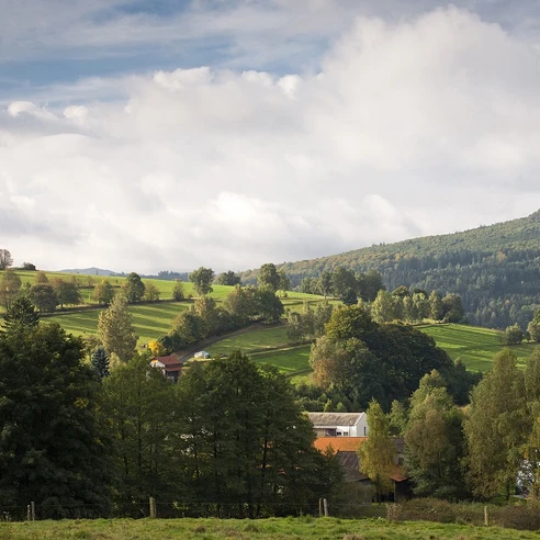 Scheibelbach Scheibelbach