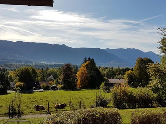 Blick von der Terrasse